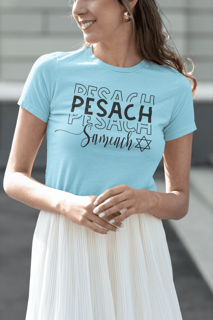Seasonal T-shirt Passover Seder Coordinator DTG Short Sleeve Crew Neck Top - TopKoalaTee