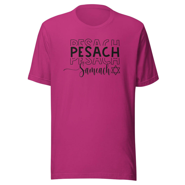 Passover T-shirt Pesach Sameach (Happy Passover) Unisex Top - TopKoalaTee